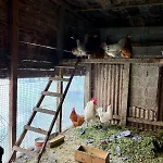 Casa Olinda Apartament