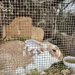 Casa Olinda Apartament *