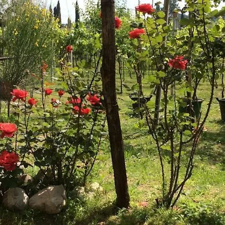 Appartement Casa Olinda