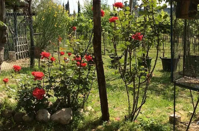 Apartmán Casa Olinda